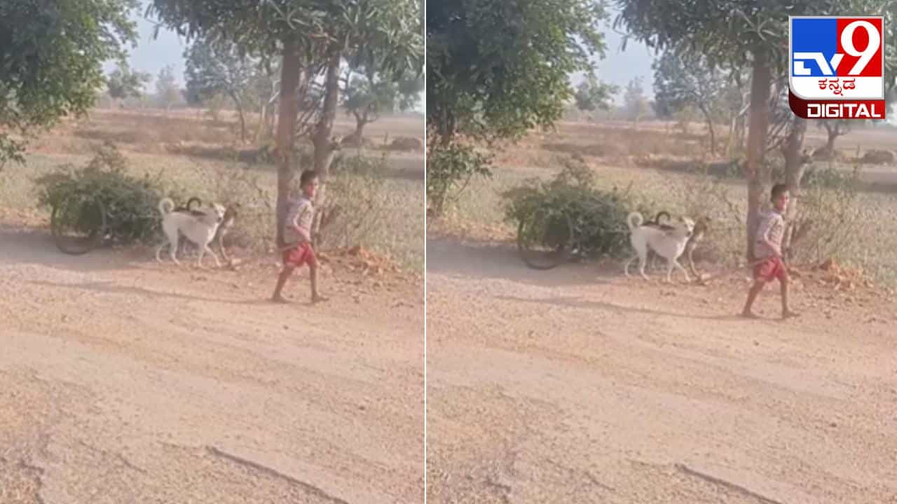 Viral Video: ಇದು ಎತ್ತಿನ ಗಾಡಿ ಅಲ್ಲ….. ಮತ್ತೇನು?; ವಿಡಿಯೋ ವೈರಲ್ Viral Video: ಇದು ಎತ್ತಿನ ಗಾಡಿ ಅಲ್ಲ….. ಮತ್ತೇನು?; ವಿಡಿಯೋ ವೈರಲ್