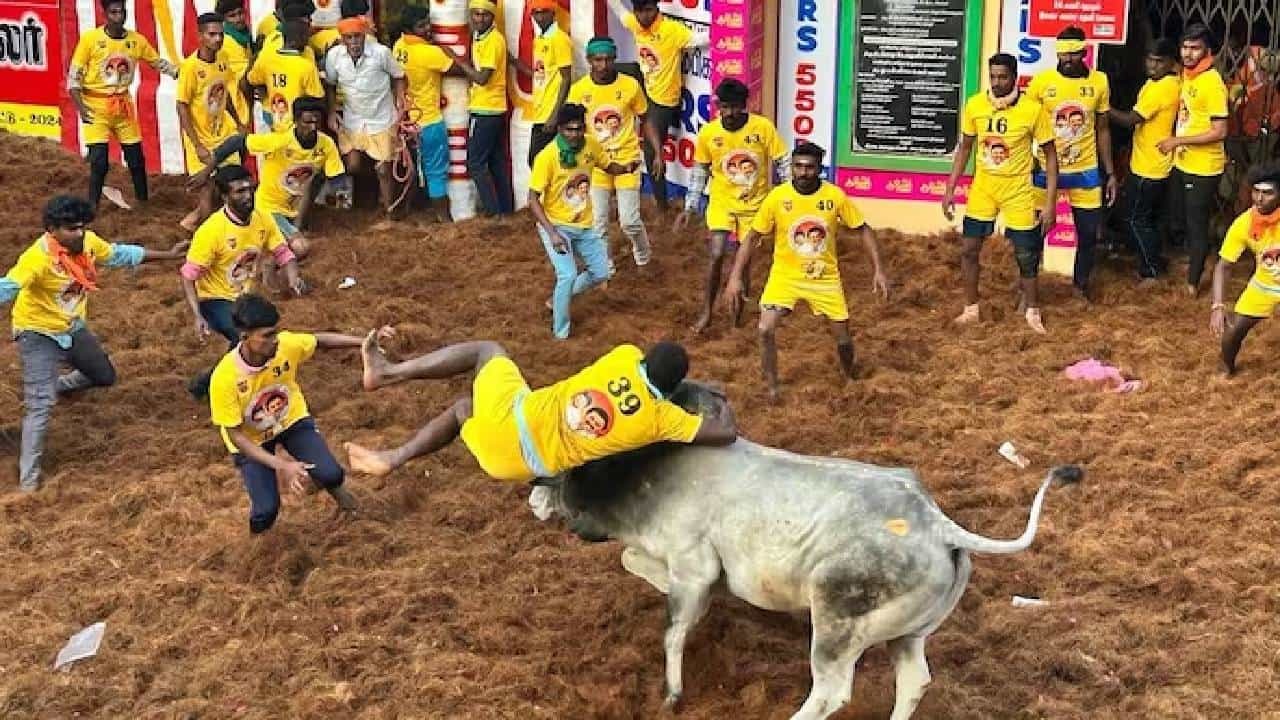 ತಮಿಳುನಾಡು: ಜಲ್ಲಿಕಟ್ಟು ಗೂಳಿ ಪಳಗಿಸುವ ಕ್ರೀಡೆಯಲ್ಲಿ ಇಬ್ಬರು ಸಾವು, 70 ಮಂದಿಗೆ ಗಾಯ ತಮಿಳುನಾಡು: ಜಲ್ಲಿಕಟ್ಟು ಗೂಳಿ ಪಳಗಿಸುವ ಕ್ರೀಡೆಯಲ್ಲಿ ಇಬ್ಬರು ಸಾವು, 70 ಮಂದಿಗೆ ಗಾಯ
