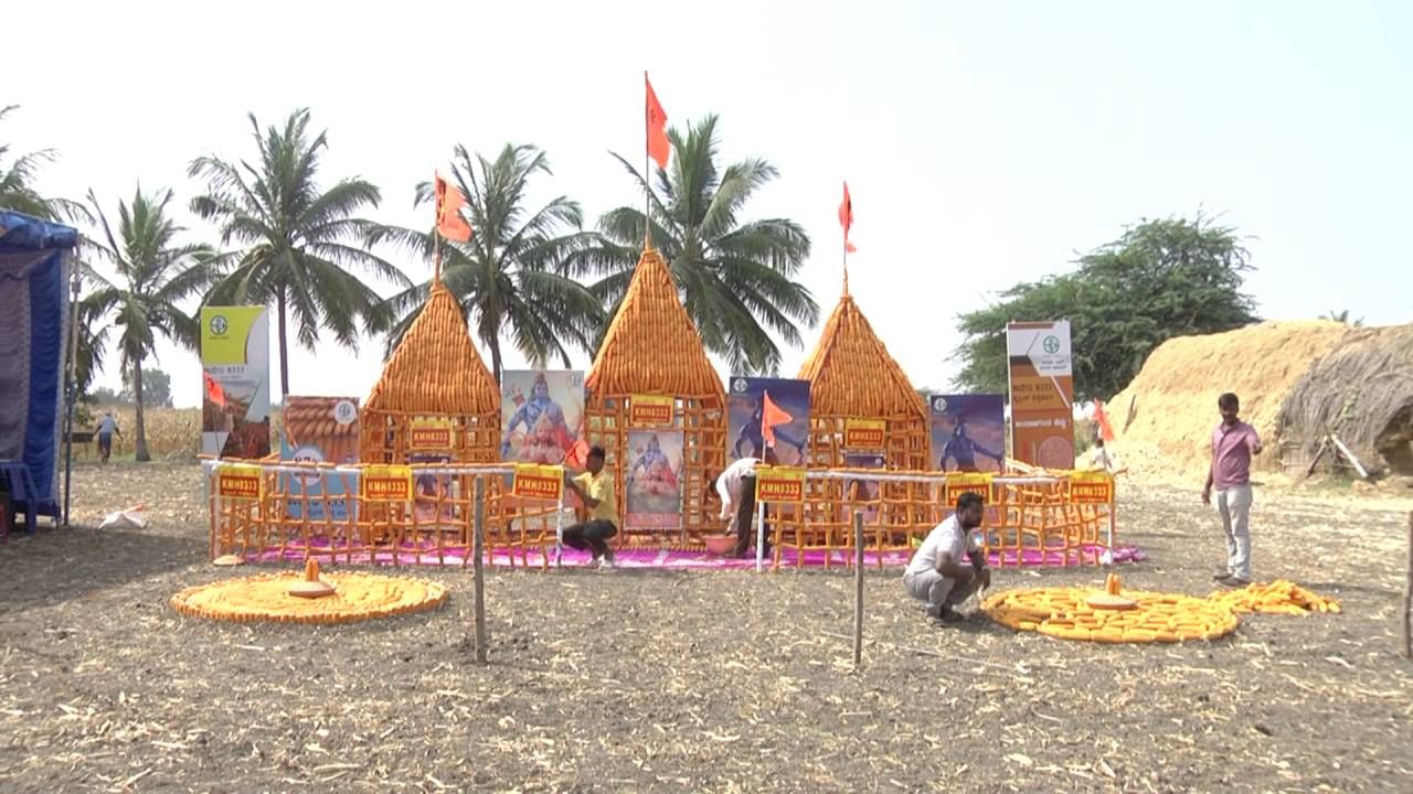 Koppal Farmer built Ram Mandir in maize