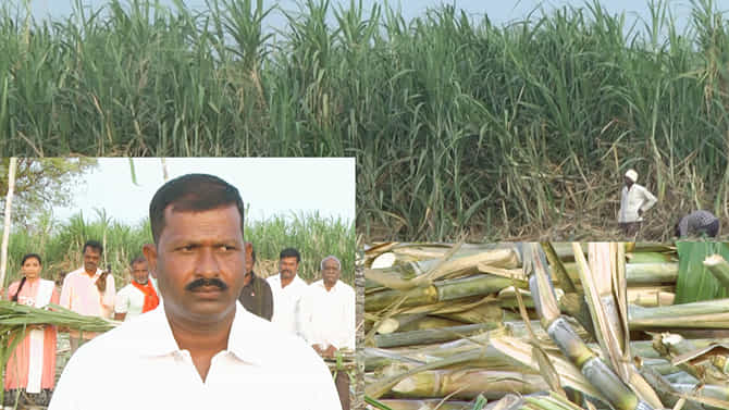 ಸರ್ಕಾರಿ ಕೋಟಾಗೆ ಮುಗಿಬೀಳದೆ ಭೂತಾಯಿಯ ಸೇವೆಗೆ ಜೀವನ ಮುಡಿಪಿಟ್ಟ ಯೋಧ