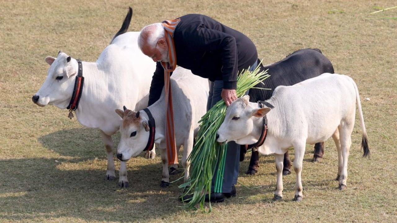 ಪೊಂಗಲ್ ತಮಿಳರು ಆಚರಿಸುವ ಸುಗ್ಗಿಯ ಹಬ್ಬ. ಸಮೃದ್ಧವಾದ ಸುಗ್ಗಿಗೆ ಕೊಡುಗೆ ನೀಡಲು ಸಹಾಯ ಮಾಡುವ ಸೂರ್ಯ, ಪ್ರಕೃತಿ ಮತ್ತು ವಿವಿಧ ಕೃಷಿ ಪ್ರಾಣಿಗಳಿಗೆ ಧನ್ಯವಾದ ಅರ್ಪಿಸುವ ಆಚರಣೆಯಾಗಿದೆ. ನಾಲ್ಕು ದಿನಗಳ ಕಾಲ ಆಚರಿಸಲಾಗುವ ಈ ಹಬ್ಬವು ಥಾಯ್ ಎಂಬ ತಮಿಳು ತಿಂಗಳ ಆರಂಭವನ್ನು ಸೂಚಿಸುತ್ತದೆ, ಇದನ್ನು ಮಂಗಳಕರ ತಿಂಗಳು ಎಂದು ಪರಿಗಣಿಸಲಾಗಿದೆ.