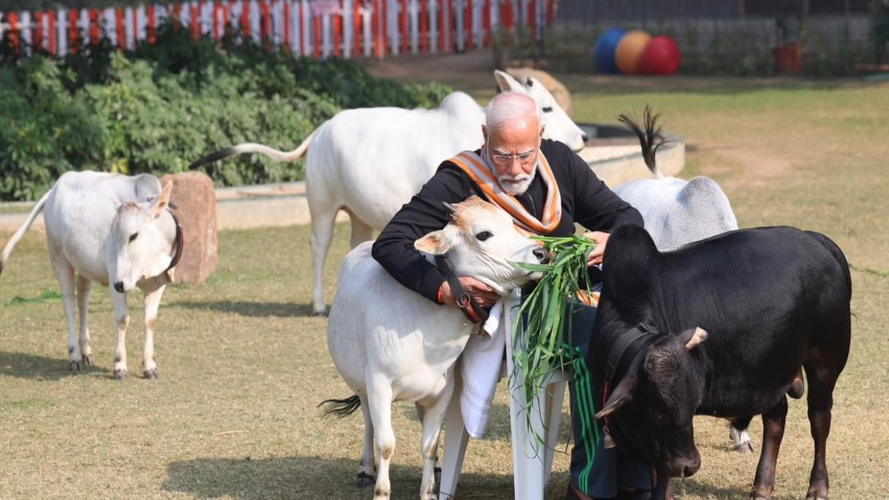 ಪೊಂಗಲ್ ಹಬ್ಬವು 'ಏಕ್ ಭಾರತ್ ಶ್ರೇಷ್ಠ ಭಾರತ'ದ ಭಾವನೆಯನ್ನು ಬಿಂಬಿಸುತ್ತದೆ.ಈ ಏಕತೆಯ ಭಾವನೆಯು 2047 ರ 'ವಿಕಸಿತ್ ಭಾರತ'ಕ್ಕೆ ಬಲವನ್ನು ನೀಡುತ್ತದೆ," ಎಂದು ಪ್ರಧಾನಿ ಹೇಳಿದರು. ಈ ಏಕತೆಯ ಭಾವನೆಯು 2047 ರ ವೇಳೆಗೆ ವಿಕಸಿತ್ ಭಾರತವನ್ನು ನಿರ್ಮಿಸಲು ದೊಡ್ಡ ಶಕ್ತಿಯಾಗಿದೆ