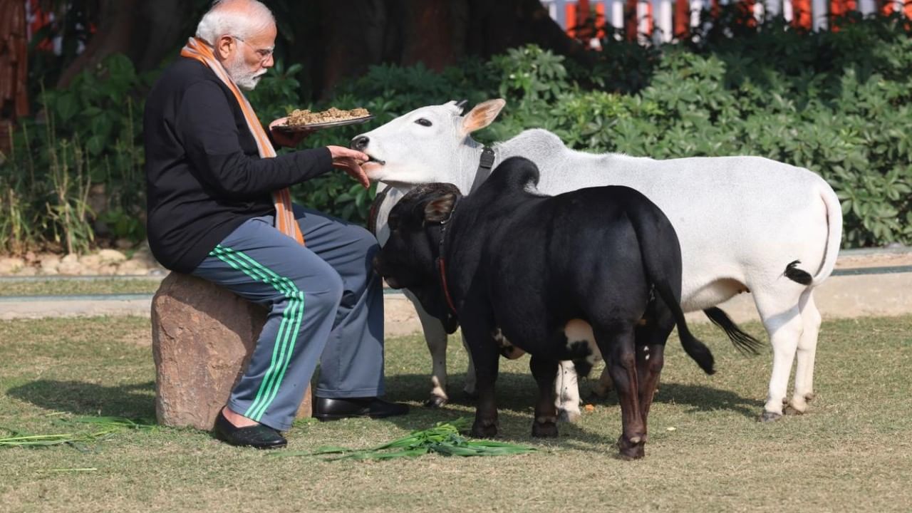 ಪೊಂಗಲ್ ಹಬ್ಬದ ಈ ಶುಭ ಸಂದರ್ಭದಲ್ಲಿ ರಾಷ್ಟ್ರದ ಐಕ್ಯತೆಯನ್ನು ಬಲಪಡಿಸುವ ಸಂಕಲ್ಪಕ್ಕೆ ನಮ್ಮನ್ನು ನಾವು ಪುನಃ ಸಮರ್ಪಿಸಿಕೊಳ್ಳೋಣ ಎಂಬ ಕರೆ ನೀಡಿದ ಮೋದಿ