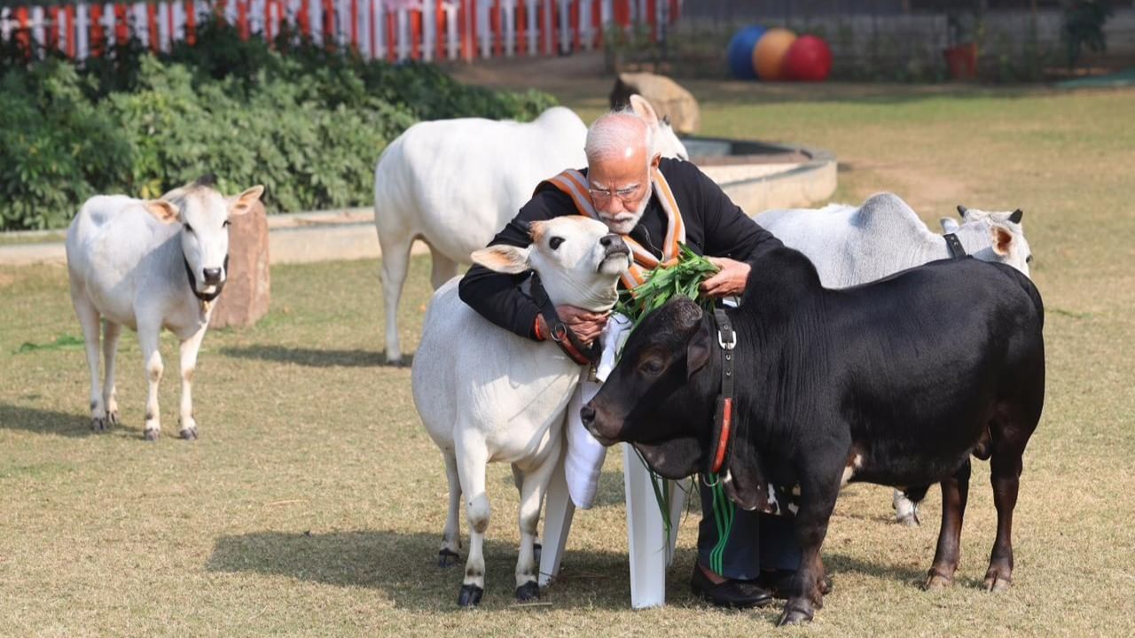 ಎಲ್ಲ ಹಬ್ಬಗಳೂ ಒಂದಲ್ಲ ಒಂದು ರೀತಿಯಲ್ಲಿ ಕೃಷಿಗೆ ಸಂಬಂಧಿಸಿವೆ ಎಂದು. ದೇಶದಲ್ಲಿ ಮೂರು ಕೋಟಿಗೂ ಹೆಚ್ಚು ರೈತರು ಶ್ರೀ ಅನ್ನ (ಸಿರಿ ಧಾನ್ಯಗಳು) ಉತ್ಪಾದನೆಯಲ್ಲಿ ತೊಡಗಿಸಿಕೊಂಡಿದ್ದಾರೆ ಎಂದ ಪ್ರಧಾನಿ 