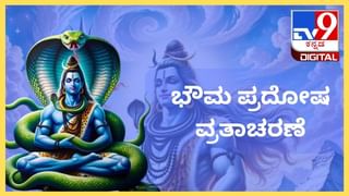 Sankashti Chaturthi: ಸಂಕಷ್ಟ ಚತುರ್ಥಿ ಯಾವಾಗ? ಈ ದಿನದ ಆಚರಣೆ ಹೇಗಿರಬೇಕು?