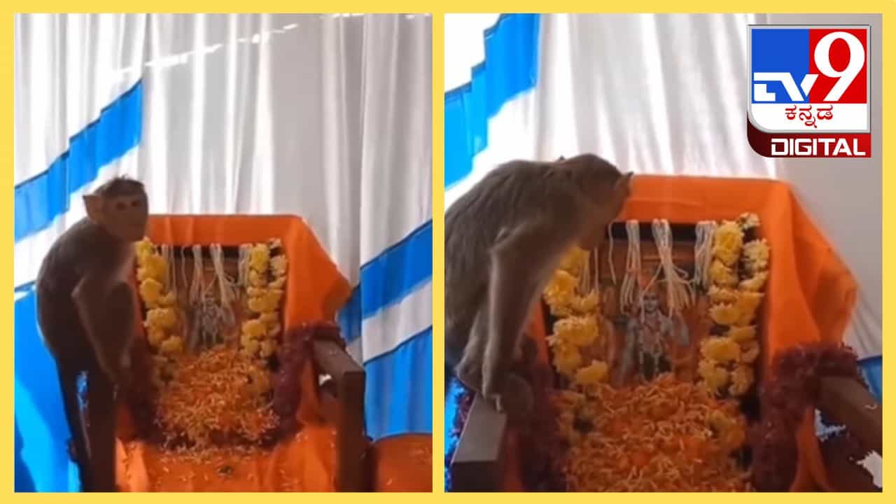 Viral Video: ಎಲ್ಲಿ ರಾಮನೋ ಅಲ್ಲಿ ಹನುಮ ಕಾರಿಂಜೇಶ್ವರ ರಾಮೋತ್ಸವದಲ್ಲಿ ರಾಮ ದೂತರು Viral Video: ಎಲ್ಲಿ ರಾಮನೋ ಅಲ್ಲಿ ಹನುಮ ಕಾರಿಂಜೇಶ್ವರ ರಾಮೋತ್ಸವದಲ್ಲಿ ರಾಮ ದೂತರು