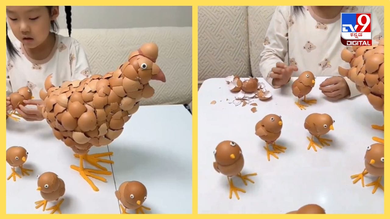 Viral Video: ಇದಪ್ಪಾ ಕ್ರಿಯೇಟಿವಿಟಿ ಅಂದ್ರೆ; ಮೊಟ್ಟೆ ಚಿಪ್ಪಿನಲ್ಲಿ ಕೋಳಿ ಮತ್ತು ಅದರ ಮರಿಗಳು Viral Video: ಇದಪ್ಪಾ ಕ್ರಿಯೇಟಿವಿಟಿ ಅಂದ್ರೆ; ಮೊಟ್ಟೆ ಚಿಪ್ಪಿನಲ್ಲಿ ಕೋಳಿ ಮತ್ತು ಅದರ ಮರಿಗಳು