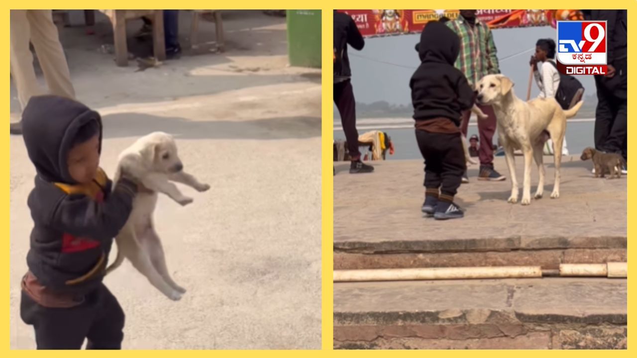 Viral Video: ಬಾ.. ನಿನ್ನನ್ನು ತಾಯಿ ಹತ್ರ ಕರ್ಕೊಂಡು ಹೋಗ್ತೀನಿ; ನಿಷ್ಕಲ್ಮಶ ಮನಸ್ಸುಗಳ ಸುಂದರ ಬಾಂಧವ್ಯ Viral Video: ಬಾ.. ನಿನ್ನನ್ನು ತಾಯಿ ಹತ್ರ ಕರ್ಕೊಂಡು ಹೋಗ್ತೀನಿ; ನಿಷ್ಕಲ್ಮಶ ಮನಸ್ಸುಗಳ ಸುಂದರ ಬಾಂಧವ್ಯ