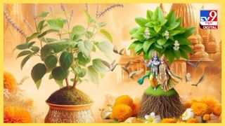 ಜೀವನದಲ್ಲಿ ಸಕಲ ಸಮೃದ್ಧಿ ದೊರೆಯಬೇಕಾ? ಈ ಶಕ್ತಿಯುತ ವಿಷ್ಣು ಮಂತ್ರಗಳ ಪಠಣೆ ಮಾಡಿ