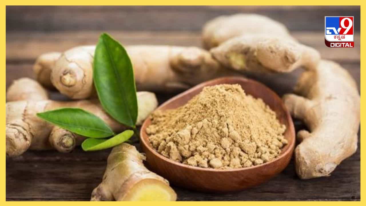 Ginger Health Benefits: ಅಡುಗೆಗೆ ಮಾತ್ರವಲ್ಲ ಆರೋಗ್ಯಕ್ಕೂ ಬಹುಪಯೋಗಿ ಶುಂಠಿ Ginger Health Benefits: ಅಡುಗೆಗೆ ಮಾತ್ರವಲ್ಲ ಆರೋಗ್ಯಕ್ಕೂ ಬಹುಪಯೋಗಿ ಶುಂಠಿ