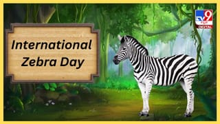 ಹಿರಿಯ ನಾಗರಿಕರ ಜೀವನಶೈಲಿ ಹೇಗಿರಬೇಕು?; ಮುಪ್ಪನ್ನು ಮುಂದೂಡುವುದು ಹೇಗೆ?