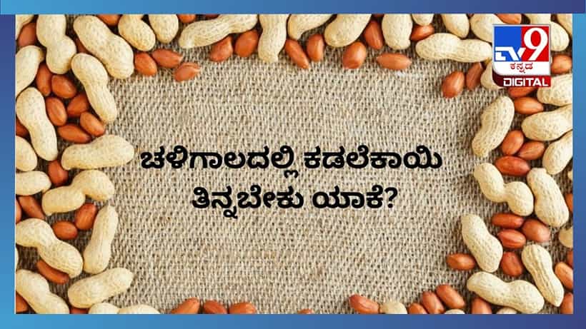 Healthy Eating: ಚಳಿಗಾಲದಲ್ಲಿ ಕಡಲೆಕಾಯಿ ತಿನ್ನಬೇಕು ಎಂದು ಹೇಳುವುದು ಏಕೆ ಗೊತ್ತಾ?