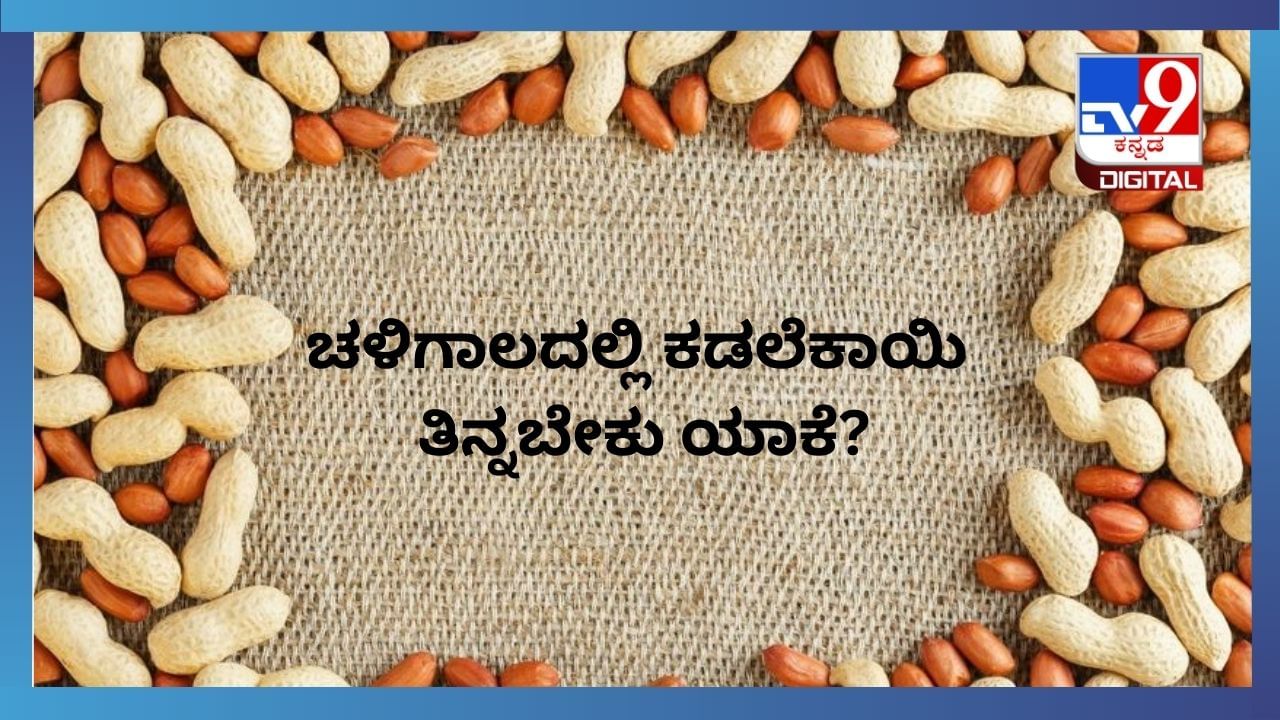 Healthy Eating: ಚಳಿಗಾಲದಲ್ಲಿ ಕಡಲೆಕಾಯಿ ತಿನ್ನಬೇಕು ಎಂದು ಹೇಳುವುದು ಏಕೆ ಗೊತ್ತಾ?