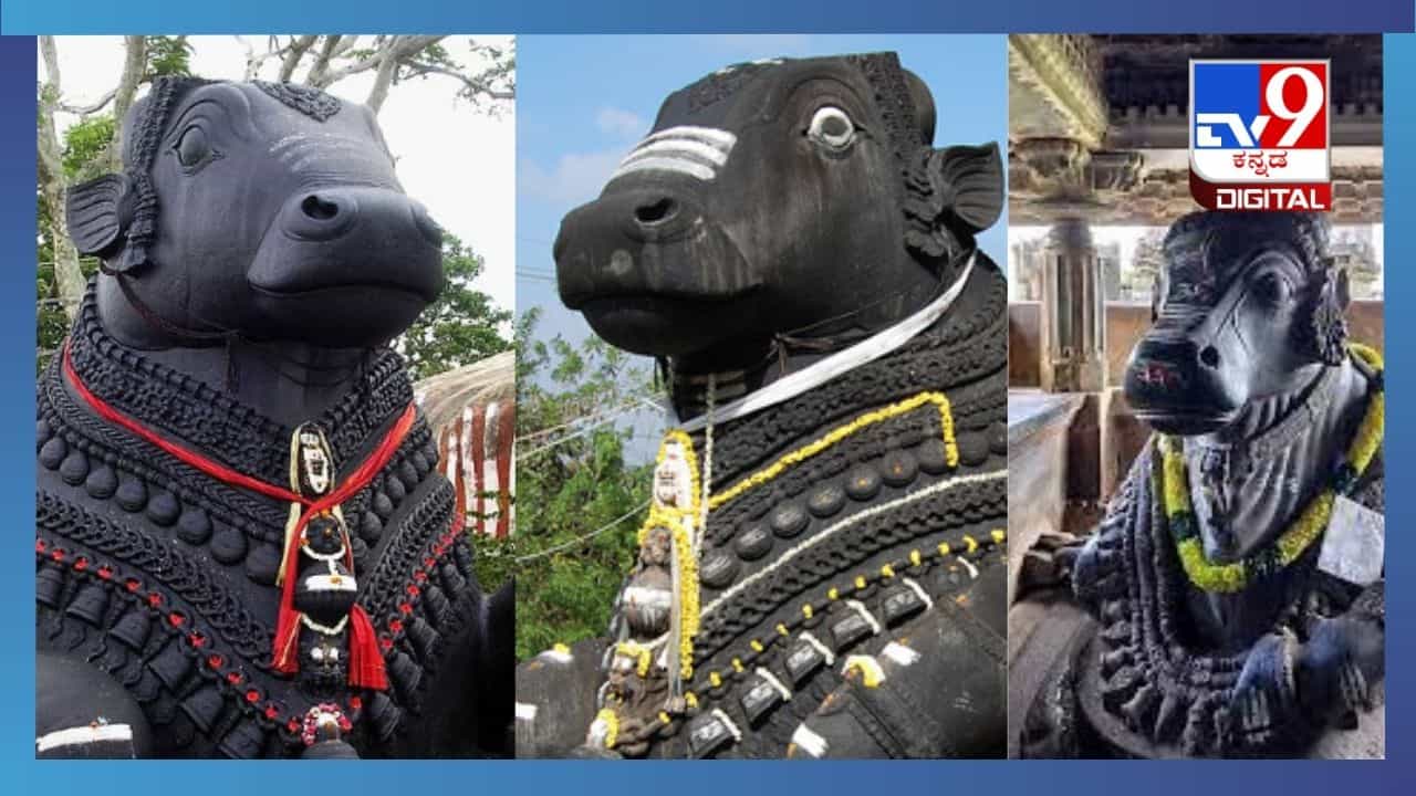 ಕರ್ನಾಟಕದಲ್ಲಿ ಅತಿ ಎತ್ತರದ ನಂದಿ ವಿಗ್ರಹಗಳು ಎಲ್ಲೆಲ್ಲಿವೆ ಗೊತ್ತಾ? ಕರ್ನಾಟಕದಲ್ಲಿ ಅತಿ ಎತ್ತರದ ನಂದಿ ವಿಗ್ರಹಗಳು ಎಲ್ಲೆಲ್ಲಿವೆ ಗೊತ್ತಾ?