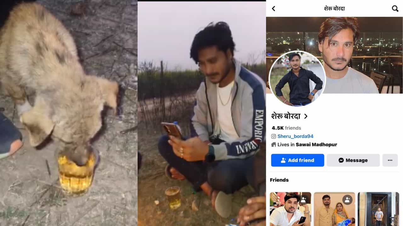 Viral Video: ನಾಯಿ ಮರಿಗೆ ವಿಸ್ಕಿ ಕುಡಿಸಿದ ವ್ಯಕ್ತಿ; ನೆಟ್ಟಿಗರಿಂದ ಭಾರಿ ಆಕ್ರೋಶ Viral Video: ನಾಯಿ ಮರಿಗೆ ವಿಸ್ಕಿ ಕುಡಿಸಿದ ವ್ಯಕ್ತಿ; ನೆಟ್ಟಿಗರಿಂದ ಭಾರಿ ಆಕ್ರೋಶ