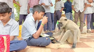 Viral Wedding Invitation: ವೈರಲ್ ಆಯಿತು ಯೋಧ-ಡಾಕ್ಟರ್ ಜೋಡಿಯ ವಿಶಿಷ್ಟ ವಿವಾಹ ಆಮಂತ್ರಣ ಪತ್ರಿಕೆ 