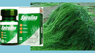 ದೇಹದಲ್ಲಿ ರಕ್ತವನ್ನು ಹೆಚ್ಚಿಸುವ ಆಹಾರಗಳು ಇವು; ಇವುಗಳನ್ನು ತಿಂದರೆ ಲೀಟರ್ ಗಟ್ಟಲೆ ರಕ್ತ ವೃದ್ಧಿಸುತ್ತದೆ