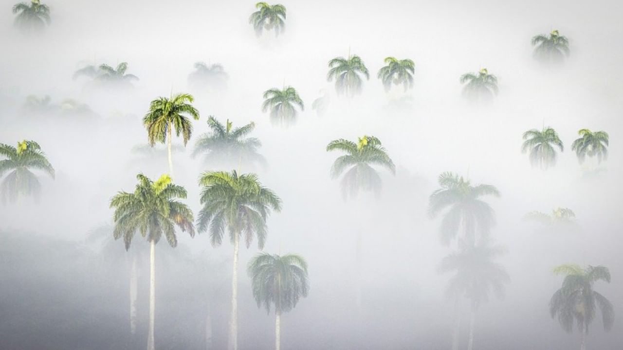 ತಮಿಳುನಾಡಿನ ಈ ಜಿಲ್ಲೆಯಲ್ಲಿ ದಟ್ಟ ಮಂಜು; ಜನಜೀವನದ ಮೇಲೆ ಪರಿಣಾಮ ಬೀರಿದ 'ಅಕಾಲಿಕ' ಚಳಿ ತಮಿಳುನಾಡಿನ ಈ ಜಿಲ್ಲೆಯಲ್ಲಿ ದಟ್ಟ ಮಂಜು; ಜನಜೀವನದ ಮೇಲೆ ಪರಿಣಾಮ ಬೀರಿದ 'ಅಕಾಲಿಕ' ಚಳಿ