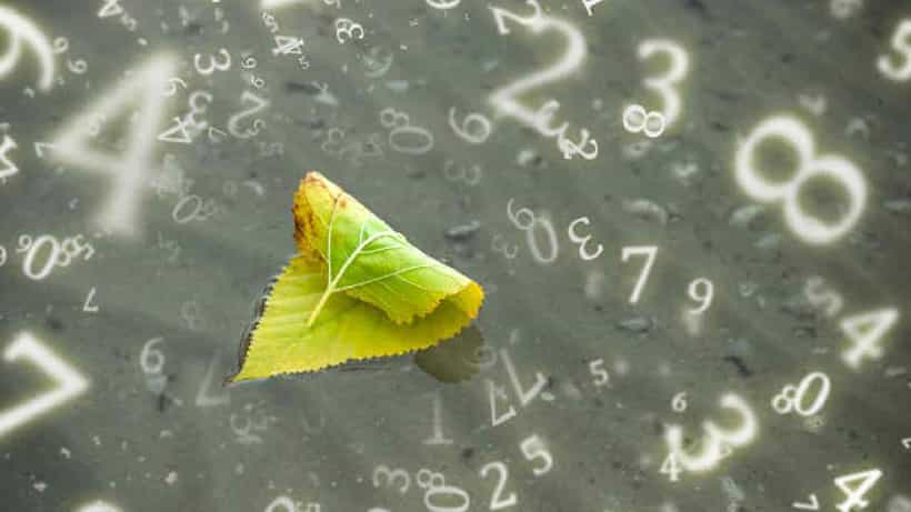 Numerology Prediction: ಸಂಖ್ಯಾಶಾಸ್ತ್ರ ಪ್ರಕಾರ ಜನ್ಮಸಂಖ್ಯೆಗೆ ಅನುಗುಣವಾಗಿ ಜನವರಿ 21ರ ದಿನಭವಿಷ್ಯ