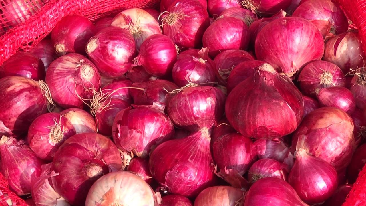 Davangere: Onion price has fallen suddenly, per kg 3-4 Rs farmers in trouble 