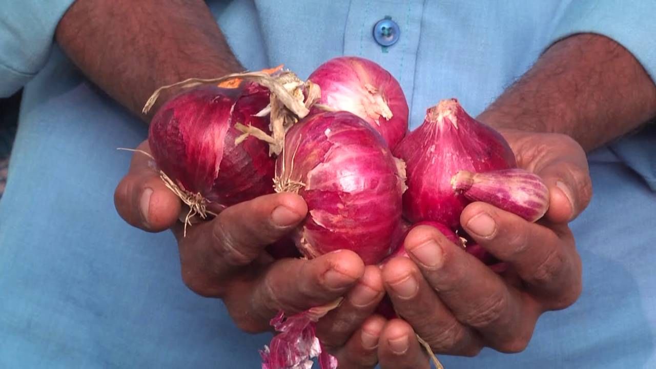 Davangere: Onion price has fallen suddenly, per kg 3-4 Rs farmers in trouble 