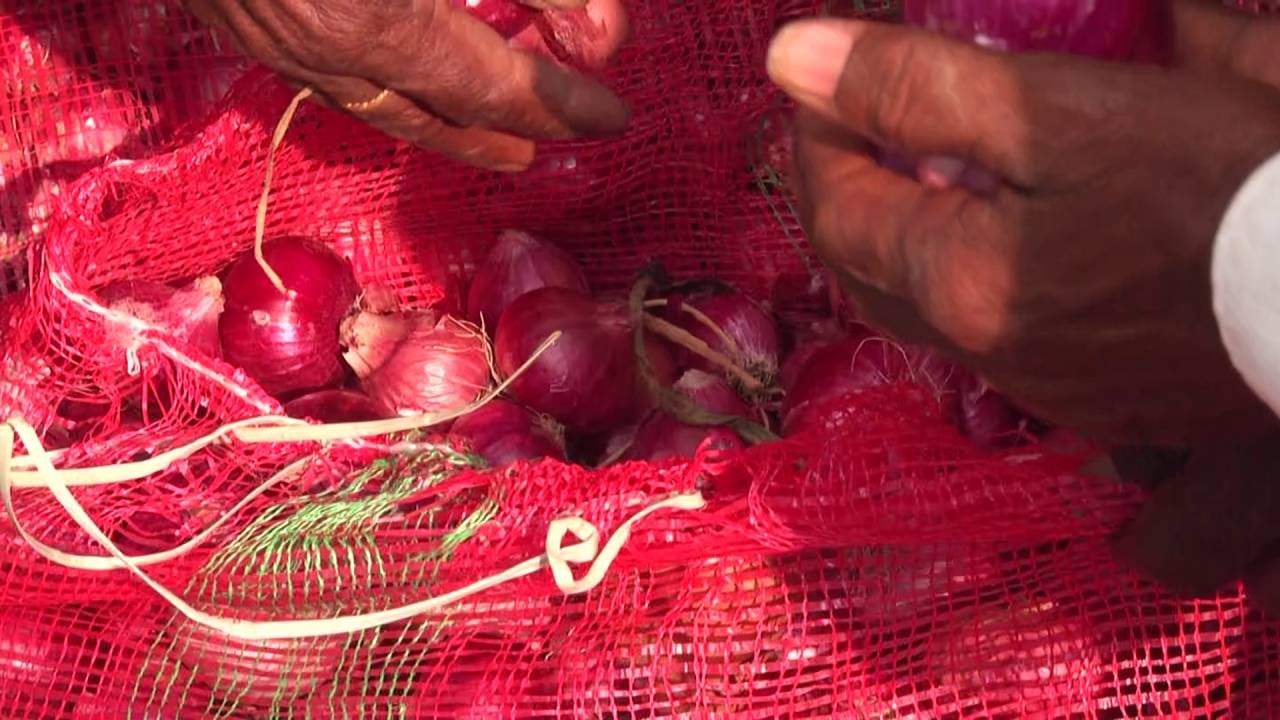 Davangere: Onion price has fallen suddenly, per kg 3-4 Rs farmers in trouble 