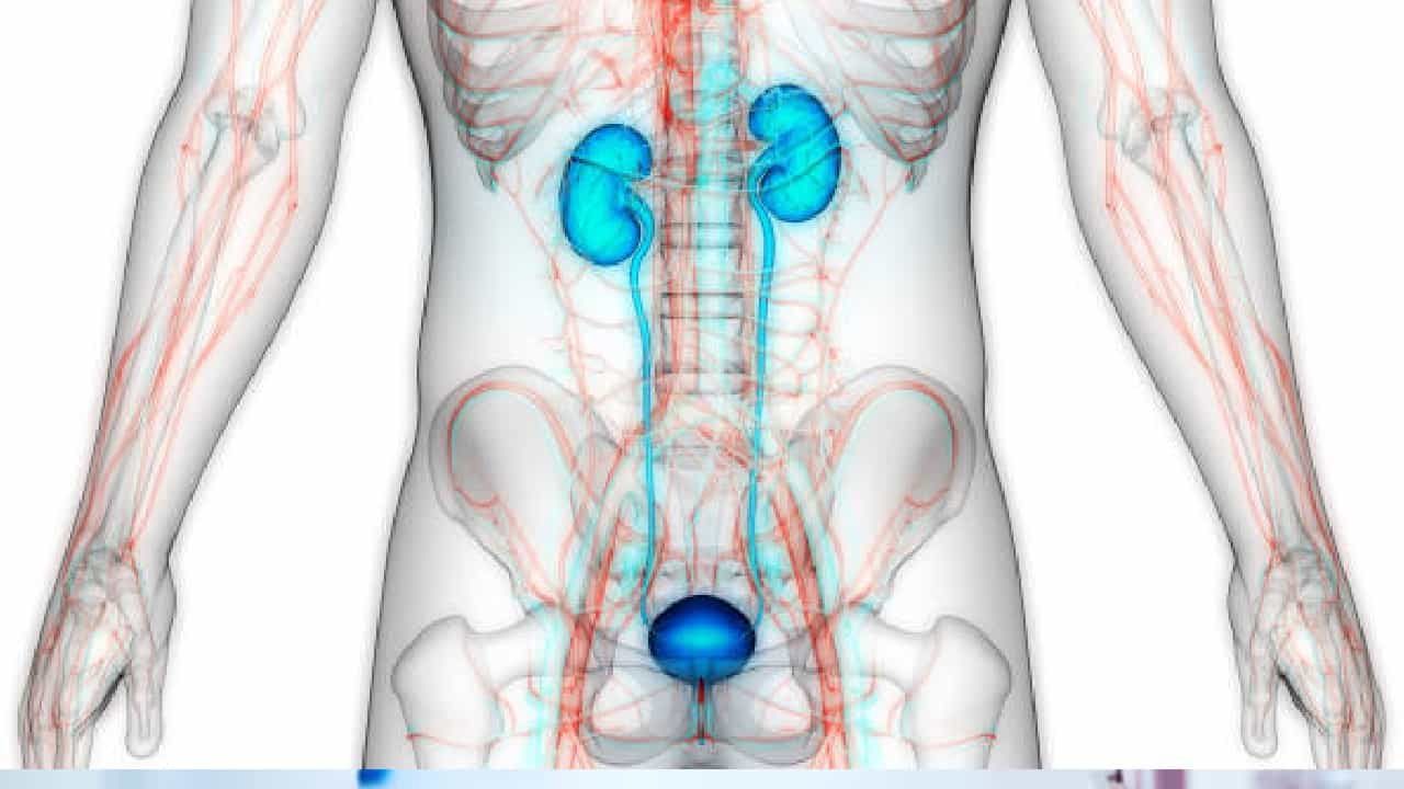 Prostate Cancer: ಪ್ರಾಸ್ಟೇಟ್ ಕ್ಯಾನ್ಸರ್ ಎಂದರೇನು?; ಪುರುಷರನ್ನು ಕಾಡುವ ಈ ರೋಗದ ಲಕ್ಷಣಗಳೇನು? Prostate Cancer: ಪ್ರಾಸ್ಟೇಟ್ ಕ್ಯಾನ್ಸರ್ ಎಂದರೇನು?; ಪುರುಷರನ್ನು ಕಾಡುವ ಈ ರೋಗದ ಲಕ್ಷಣಗಳೇನು?