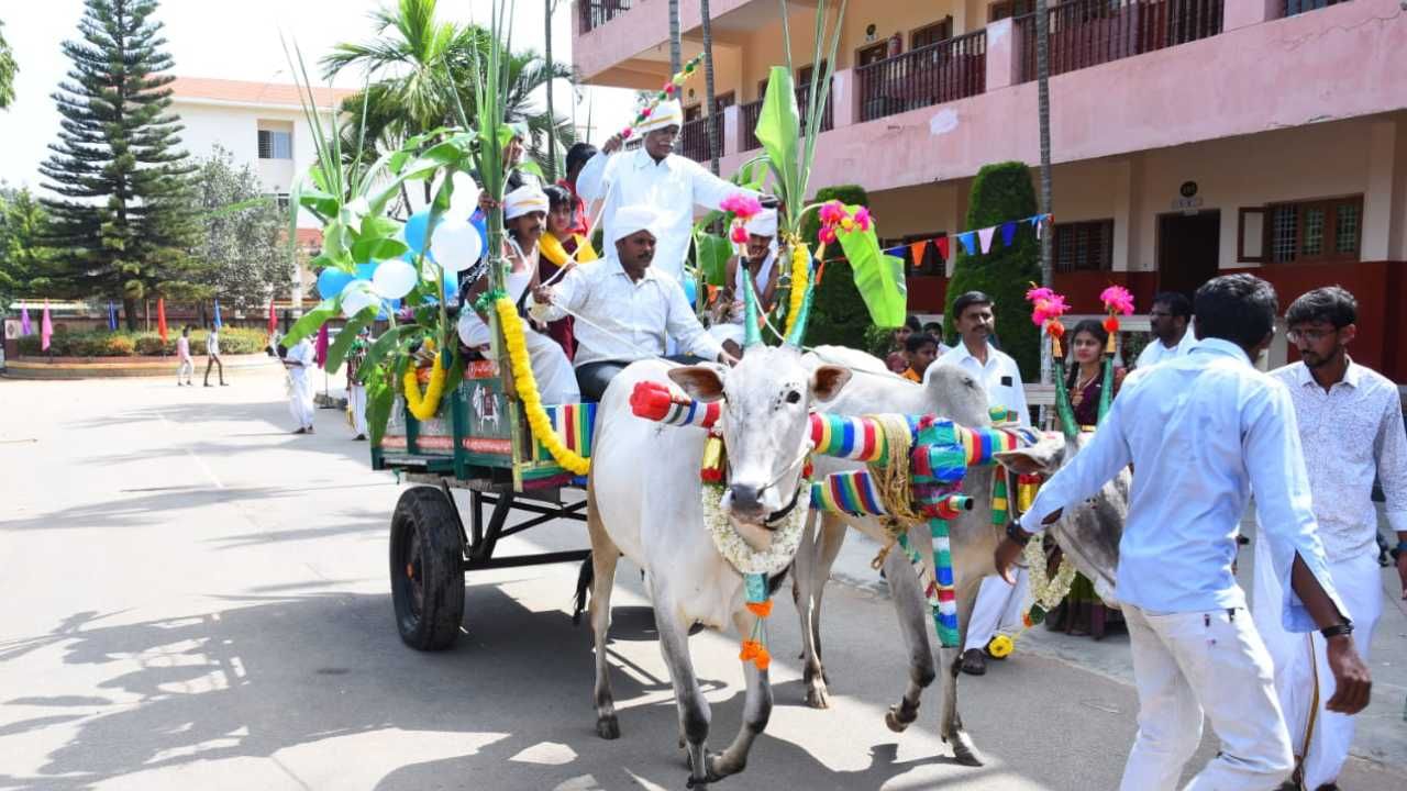 ವಿದ್ಯಾರ್ಥಿಗಳು ತಾವೇನು ಕಡಿಮೆ ಎಂದು ಬೆಂಕಿ ಕಿಚ್ಚಲ್ಲಿ ಎತ್ತಿನಬಂಡಿ ಓಡಿಸಿಕೊಂಡು ನಲಿದಾಡಿದರು. 
ಇದೆ ಸಂದರ್ಭದಲ್ಲಿ ಶಾಲಾ ಆವರಣದಲ್ಲಿ ಅವರೆಕಾಯಿ, ಕಡಲೆಕಾಯಿ, ಸಿಹಿ ಗೆಣಸು ಬೆಯಿಸಿ ಸವಿದಿದ್ದು ವಿಶೇಷವಾಗಿತ್ತು.