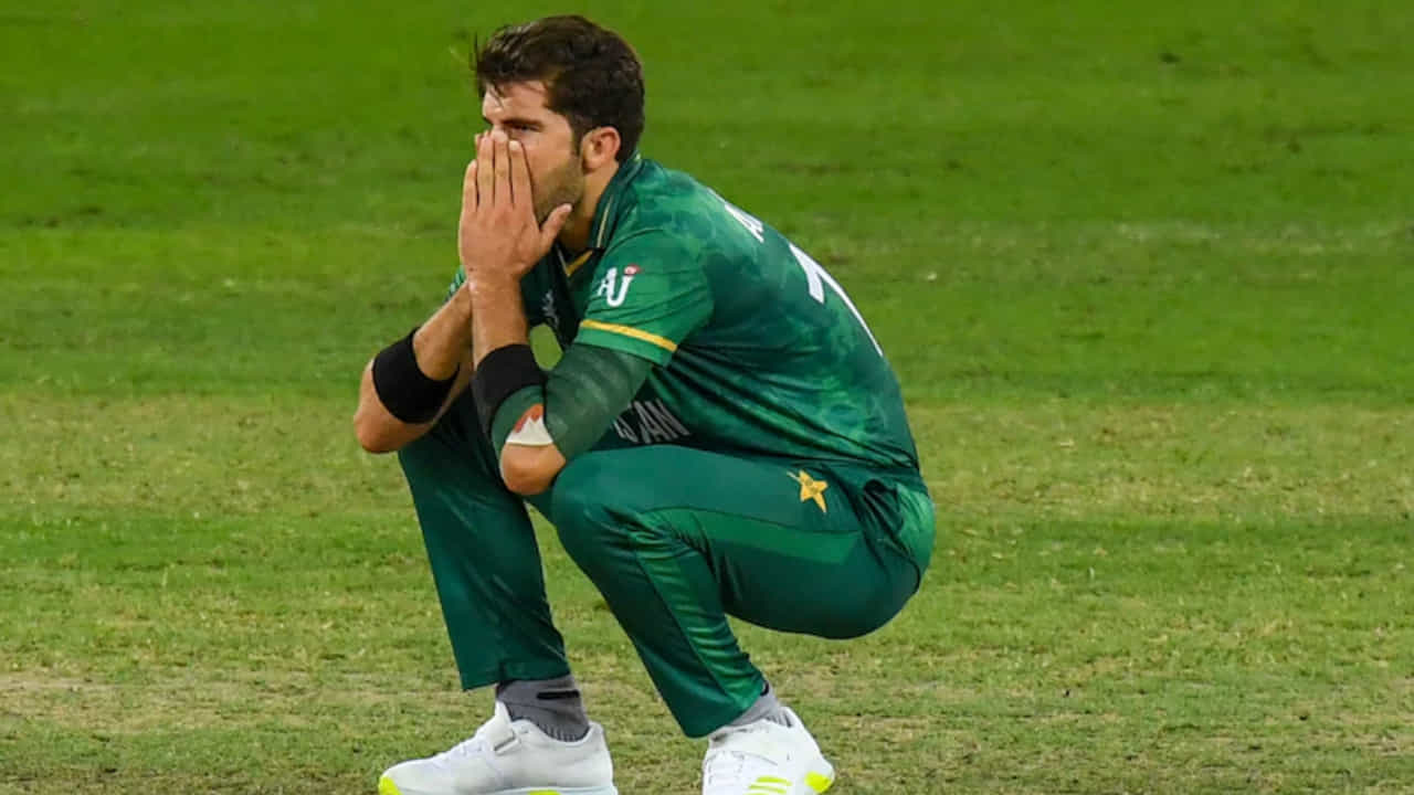PAK vs NZ: 6,4,4,4,6..! ಒಂದೇ ಓವರ್ನಲ್ಲಿ 24 ರನ್ ಬಿಟ್ಟುಕೊಟ್ಟ ಪಾಕ್ ನಾಯಕ ಅಫ್ರಿದಿ; ವಿಡಿಯೋ ನೋಡಿ PAK vs NZ: 6,4,4,4,6..! ಒಂದೇ ಓವರ್ನಲ್ಲಿ 24 ರನ್ ಬಿಟ್ಟುಕೊಟ್ಟ ಪಾಕ್ ನಾಯಕ ಅಫ್ರಿದಿ; ವಿಡಿಯೋ ನೋಡಿ