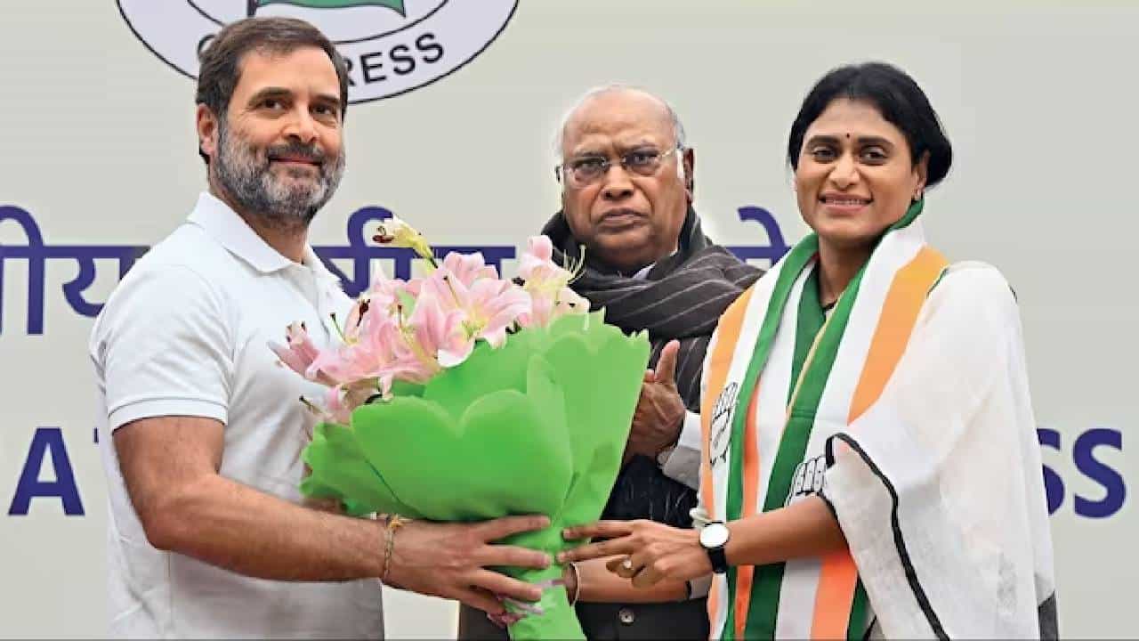 YS Sharmila: ಆಂಧ್ರಪ್ರದೇಶ ಕಾಂಗ್ರೆಸ್ನ ನೂತನ ಅಧ್ಯಕ್ಷೆಯಾಗಿ ವೈಎಸ್ ಶರ್ಮಿಳಾ ನೇಮಕ YS Sharmila: ಆಂಧ್ರಪ್ರದೇಶ ಕಾಂಗ್ರೆಸ್ನ ನೂತನ ಅಧ್ಯಕ್ಷೆಯಾಗಿ ವೈಎಸ್ ಶರ್ಮಿಳಾ ನೇಮಕ