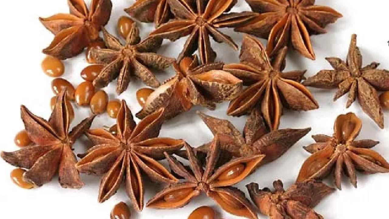 Health benefits of Star Anise: ಆಹಾರದಲ್ಲಿ ಅತ್ಯಗತ್ಯವಾಗಿರುವ ಚಕ್ರಮೊಗ್ಗಿನ ಆರೋಗ್ಯ ಪ್ರಯೋಜನಗಳ ಬಗ್ಗೆ ತಿಳಿದಿದೆಯಾ?