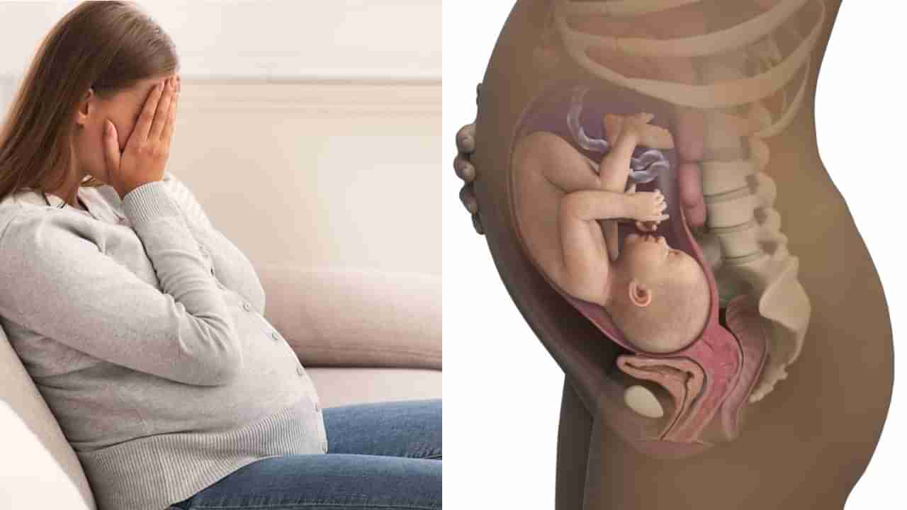 Stress and Pregnancy: ಗರ್ಭಾವಸ್ಥೆಯಲ್ಲಿ ಒತ್ತಡ ಹೆಚ್ಚಾದರೆ ಗರ್ಭಪಾತಕ್ಕೆ ಕಾರಣವಾಗಬಹುದೇ? ತಜ್ಞರು ಹೇಳುವುದೇನು?