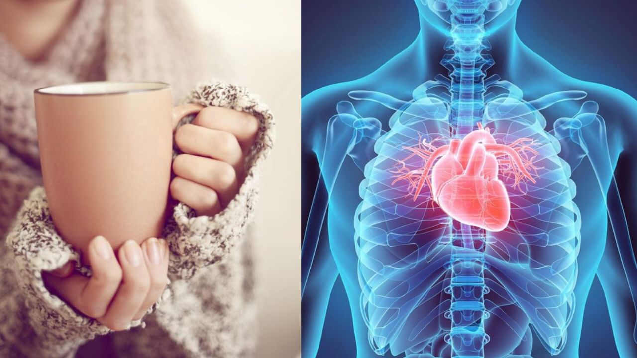 Heart Disease: ಬೆಳಗ್ಗಿನ ಒಂದು ಕಪ್ ಚಹಾ ಹೃದ್ರೋಗದ ಅಪಾಯವನ್ನು ಕಡಿಮೆ ಮಾಡುತ್ತದೆ
