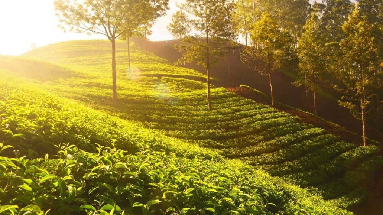 Karnataka Weather: ಕರ್ನಾಟಕದ ಕೆಲವೆಡೆ ಗರಿಷ್ಠ ತಾಪಮಾನ ಹೆಚ್ಚಳ, ಉತ್ತರ ಒಳನಾಡಿನಲ್ಲಿ ಅಧಿಕ ಚಳಿ Karnataka Weather: ಕರ್ನಾಟಕದ ಕೆಲವೆಡೆ ಗರಿಷ್ಠ ತಾಪಮಾನ ಹೆಚ್ಚಳ, ಉತ್ತರ ಒಳನಾಡಿನಲ್ಲಿ ಅಧಿಕ ಚಳಿ