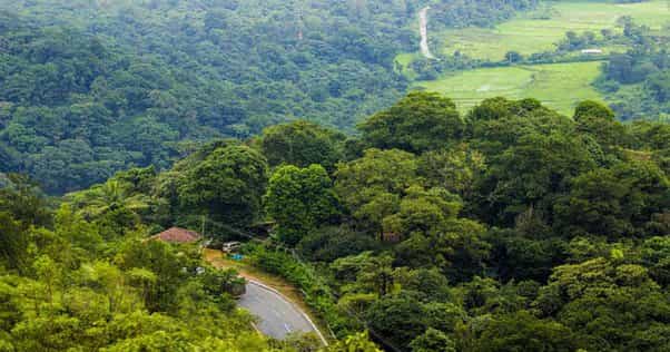 Karnataka Weather: ಬೆಂಗಳೂರಲ್ಲಿ ಮೋಡಕವಿದ ವಾತಾವರಣ, ರಾಜ್ಯದ ಬಹುತೇಕ ಜಿಲ್ಲೆಗಳಲ್ಲಿ ಒಣಹವೆ Karnataka Weather: ಬೆಂಗಳೂರಲ್ಲಿ ಮೋಡಕವಿದ ವಾತಾವರಣ, ರಾಜ್ಯದ ಬಹುತೇಕ ಜಿಲ್ಲೆಗಳಲ್ಲಿ ಒಣಹವೆ