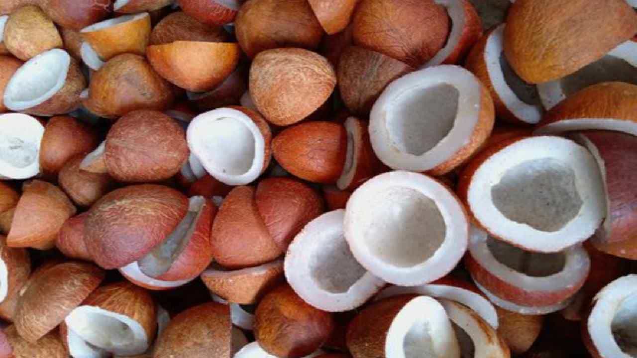 ಕೊನೆಗೂ ಕೊಬ್ಬರಿಗೆ ಬೆಂಬಲ ಬೆಲೆ ಘೋಷಿಸಿದ ಸಿದ್ದರಾಮಯ್ಯ, ಎಷ್ಟು ಗೊತ್ತಾ? ಕೊನೆಗೂ ಕೊಬ್ಬರಿಗೆ ಬೆಂಬಲ ಬೆಲೆ ಘೋಷಿಸಿದ ಸಿದ್ದರಾಮಯ್ಯ, ಎಷ್ಟು ಗೊತ್ತಾ?
