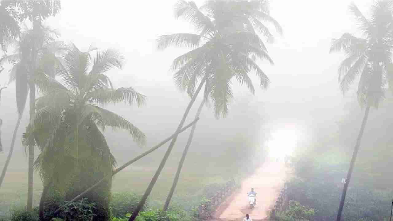 Karnataka Weather: ಕರ್ನಾಟಕದಾದ್ಯಂತ ಚಳಿ ಕೊಂಚ ಕಡಿಮೆ, ಒಣಹವೆ ಮುಂದುವರಿಕೆ