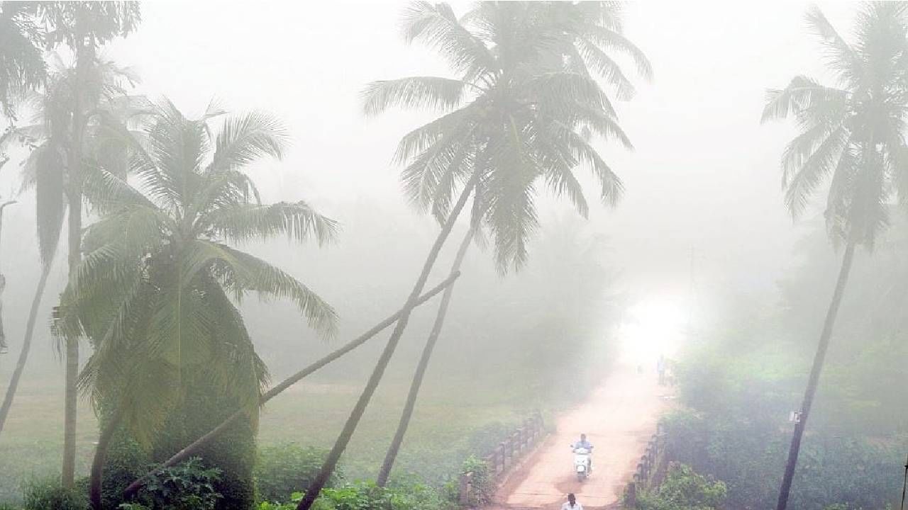 Karnataka Weather: ಕರ್ನಾಟಕದಾದ್ಯಂತ ಚಳಿ ಕೊಂಚ ಕಡಿಮೆ, ಒಣಹವೆ ಮುಂದುವರಿಕೆ