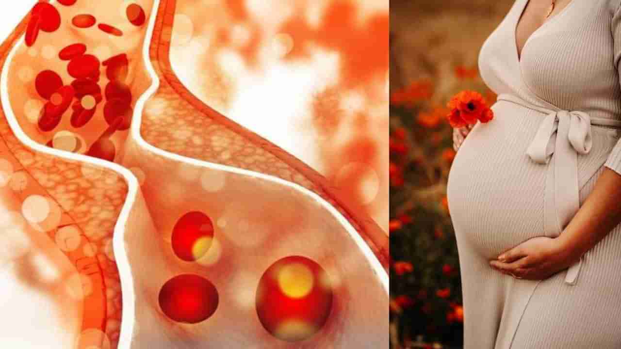 High Cholesterol: ಗರ್ಭಾವಸ್ಥೆಯಲ್ಲಿ ಅಧಿಕ ಕೊಲೆಸ್ಟ್ರಾಲ್ ಭ್ರೂಣದ ಬೆಳವಣಿಗೆಗೆ ಎಷ್ಟು ಅಪಾಯಕಾರಿ?