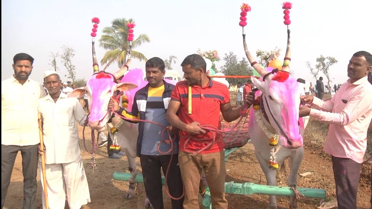 ಪ್ರತಿ ವರ್ಷದಂತೆ ಈ ಬಾರಿಯೂ ಗ್ರಾಮದಲ್ಲಿ ಅದ್ದೂರಿಯಾಗಿ ಬಿರೇಶ್ವರ ದೇವರ ಜಾತ್ರೆಯನ್ನ ಆಚರಣೆ ಮಾಡಲಾಗುತ್ತಿದೆ. ಇನ್ನು ಜಾತ್ರೆಯ ಕೊನೆಯ ದಿನದಂದು ಎತ್ತುಗಳು ಮತ್ತು ಕುದುರೆಗಳ ಖಾಲಿ ಗಾಡಿ ಓಡಿಸುವ ಸ್ಪರ್ಧೆಯನ್ನ ಆಯೋಜನೆ ಮಾಡಲಾಗುತ್ತೆ.