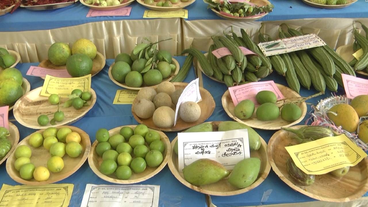  ಇದಲ್ಲದೇ ಫಲ ಪುಷ್ಪ ಪ್ರದರ್ಶನದಲ್ಲಿ, ಪಪ್ಪಾಯಿ, ಪೇರು,ಚಿಕ್ಕು,ಪೈನಾಪಲ್, ರಾಮ್ ಫಲ, ಕಲ್ಲಂಗಡಿ, ಬಾಳೆ ಹಣ್ಣು,ದ್ರಾಕ್ಷಿ ಸೇರಿ ಹಲವು ವಿಧದ ಹಣ್ಣುಗಳನ್ನು ಪ್ರದರ್ಶನಕ್ಕೆ ಇಡಲಾಗಿತ್ತು. ಜೊತೆಗೆ ಹೀರೆಕಾಯಿ, ನುಗ್ಗೆ, ಮೆಣಸು,ಟಮೋಟೊ, ಸೇರಿದಂತೆ ವಿವಿಧ ತರಕಾರಿ ಬೆಳೆಗಳ ಪ್ರದರ್ಶನ, ಎಲ್ಲವನ್ನು ನೋಡೋದಕ್ಕೆ ಜನರು ,ರೈತರು, ವಿದ್ಯಾರ್ಥಿಗಳು,ಸಾರ್ವಜನಿಕರು ಬೆಳಿಗ್ಗೆಯಿಂದ ಆಗಮಿಸಿದ್ದರು.