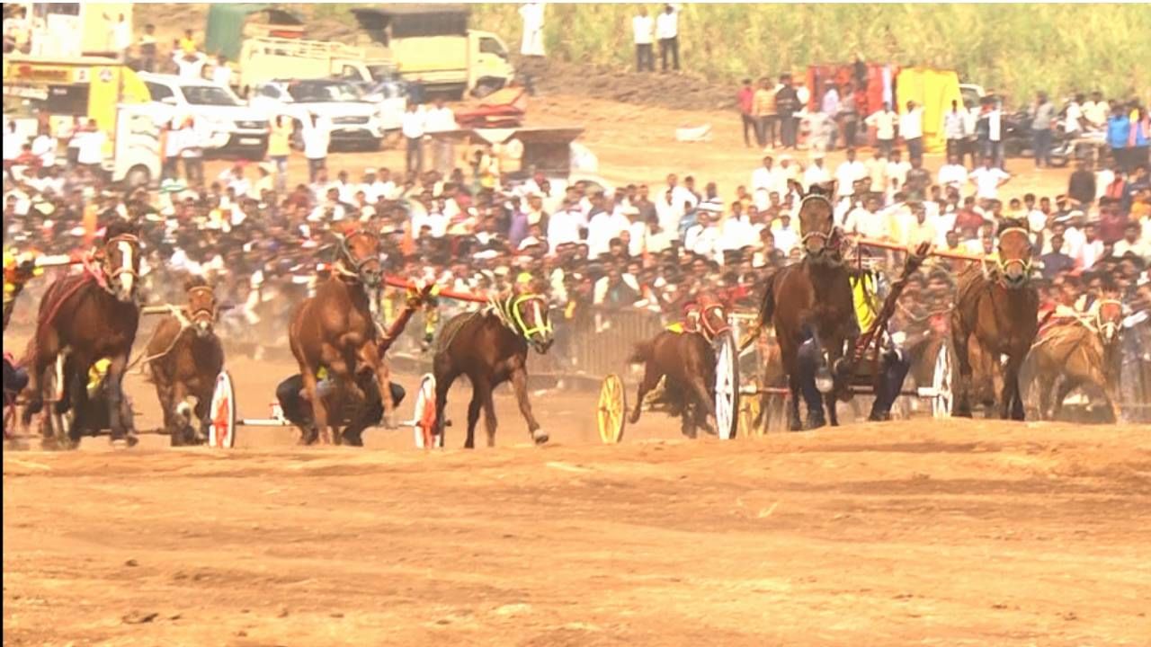 ಇನ್ನು ಎತ್ತುಗಳ ಓಟ ಮುಗಿಯುತ್ತಿದ್ದಂತೆ ಶುರುವಾಗಿದ್ದು, ಕುದುರೆಗಳ ಖಾಲಿ ಗಾಡಿ ಓಡಿಸುವ ಸ್ಪರ್ಧೆ. ಮೂವತ್ತಕ್ಕೂ ಅಧಿಕ ಜೋಡಿಗಳು ಈ ಸ್ಪರ್ಧೆಯಲ್ಲಿ ಭಾಗವಹಿಸಿದ್ದರು.‌ ಬೆಳಗಾವಿ, ಮುದೋಳ, ಬಾಗಲಕೋಟೆ, ವಿಜಯಪುರ, ಧಾರವಾಡ, ಹುಬ್ಬಳ್ಳಿ ಸೇರಿದಂತೆ ವಿವಿಧ ಭಾಗಗಳಿಂದ ಆಗಮಿಸಿ ಸ್ಪರ್ಧೆಯಲ್ಲಿ ಭಾಗಿಯಾಗಿದ್ದರು.