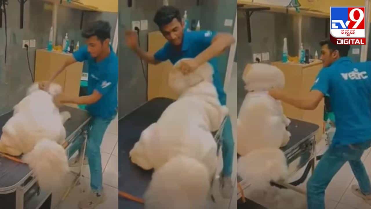 ಪೆಟ್ ಕ್ಲಿನಿಕ್ ನಲ್ಲಿ ನಾಯಿಯನ್ನು ಮನಸೋ ಇಚ್ಛೆ ಥಳಿಸಿದ ಪ್ರಕರಣ; ಸಿಬ್ಬಂದಿಗಳ ಬಂಧನ ಪೆಟ್ ಕ್ಲಿನಿಕ್ ನಲ್ಲಿ ನಾಯಿಯನ್ನು ಮನಸೋ ಇಚ್ಛೆ ಥಳಿಸಿದ ಪ್ರಕರಣ; ಸಿಬ್ಬಂದಿಗಳ ಬಂಧನ
