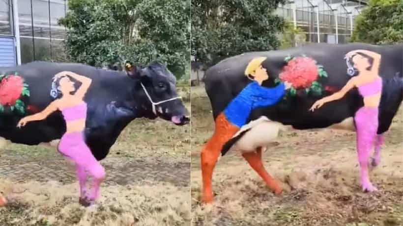 Viral Video: ಗೋವಿನ ಮೇಲೆ ಮೂಡಿದ ಪ್ರೇಮಿಗಳ ದಿನಾಚರಣೆಯ ಸಂಕೇತ, ಕಲಾವಿದನ ಕೈಚಳಕ ಹೇಗಿದೆ ನೋಡಿ