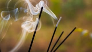 ಕುತೂಹಲಕಾರಿ ಸಂಗತಿ! ತಾಮ್ರದ ಆಭರಣ ಧರಿಸಿದರೆ ಚರ್ಮ ಏಕೆ ಹಸಿರು ಬಣ್ಣಕ್ಕೆ ತಿರುಗುತ್ತದೆ?