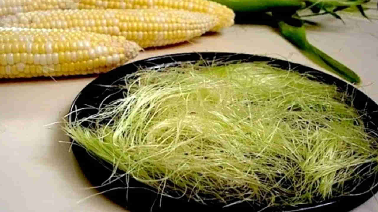 Corn silk benefits: ಮುಸುಕಿನ ಜೋಳದ ಜುಟ್ಟು ಎಂದು ಹಗುರವಾಗಿ ಕಾಣಬೇಡಿ! ಅದು ಈ 6 ರೋಗಗಳಿಗೆ ಪವಾಡದ ಮದ್ದು!