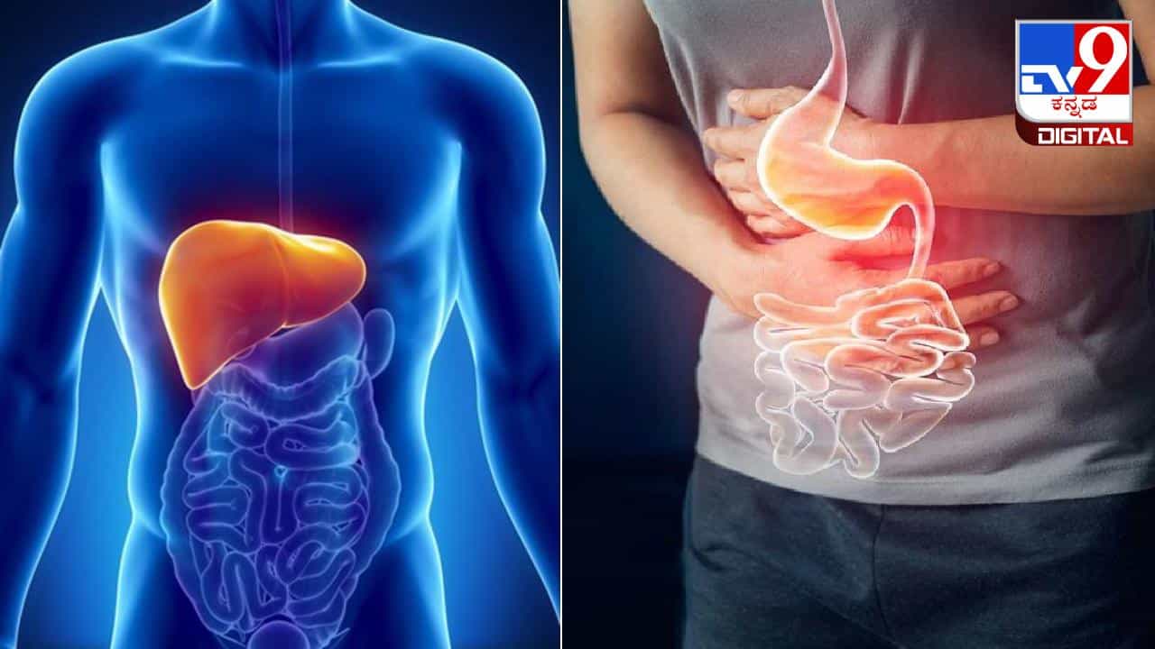 Indigestion: ಬೆಂಬಿಡದಂತೆ ಕಾಡುತ್ತಿದೆಯೇ ಅಜೀರ್ಣ ಸಮಸ್ಯೆ , ಇಲ್ಲಿದೆ ಸರಳ ಮನೆಮದ್ದು Indigestion: ಬೆಂಬಿಡದಂತೆ ಕಾಡುತ್ತಿದೆಯೇ ಅಜೀರ್ಣ ಸಮಸ್ಯೆ , ಇಲ್ಲಿದೆ ಸರಳ ಮನೆಮದ್ದು