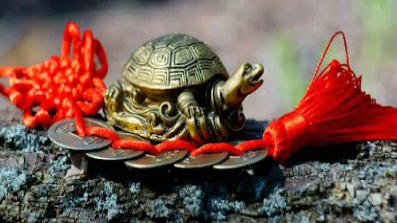 Astro Tips For Money: ಮನೆಯಲ್ಲಿ ಆರ್ಥಿಕ ಸಮಸ್ಯೆ ಕಾಡುತ್ತಿದೆಯಾ? ಲಕ್ಷ್ಮಿ ಕೃಪೆಗಾಗಿ ಹೀಗೆ ಮಾಡಿ Astro Tips For Money: ಮನೆಯಲ್ಲಿ ಆರ್ಥಿಕ ಸಮಸ್ಯೆ ಕಾಡುತ್ತಿದೆಯಾ? ಲಕ್ಷ್ಮಿ ಕೃಪೆಗಾಗಿ ಹೀಗೆ ಮಾಡಿ