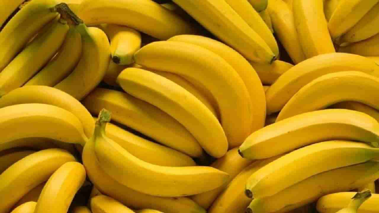 Banana Export: ಭಾರತದಿಂದ ಮಾಸ್ಕೋ, ರಷ್ಯಾಗೆ ಸಮುದ್ರದ ಮೂಲಕ ಬಾಳೆಹಣ್ಣುಗಳ ರಫ್ತು