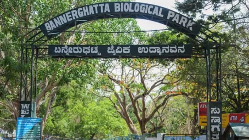 ಬನ್ನೇರುಘಟ್ಟದಲ್ಲಿ ದೇಶದ ಅತಿದೊಡ್ಡ ಚಿರತೆ ಸಫಾರಿ ಶೀಘ್ರ ಆರಂಭ: ಇಲ್ಲಿದೆ ವಿವರ